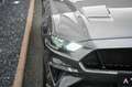 Ford Mustang 5.0 Ti-VCT V8 GT Aut. Navi* MagneRide* Grau - thumbnail 21