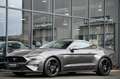 Ford Mustang 5.0 Ti-VCT V8 GT Aut. Navi* MagneRide* Grau - thumbnail 29