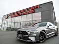 Ford Mustang 5.0 Ti-VCT V8 GT Aut. Navi* MagneRide* Grau - thumbnail 1