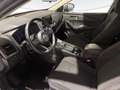Nissan Qashqai 1.3 mhev Business 2wd 158cv xtronic Grigio - thumbnail 7
