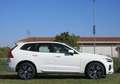 Volvo XC60 2.0 b4 Momentum auto Bianco - thumbnail 5