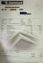 Mazda 2 1.3 Silver Edition Wit - thumbnail 28