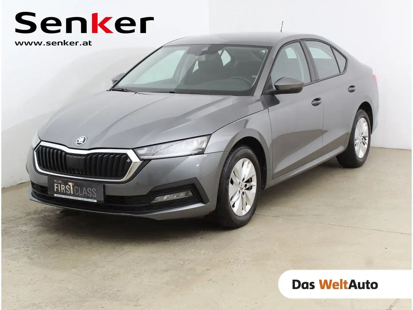 Skoda Octavia Ambition TDI Gris - 1