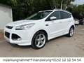 Ford Kuga Individual Weiß - thumbnail 4
