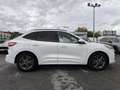 Ford Kuga 1.5 EcoBlue ST-Line FWD 120 Blanco - thumbnail 7