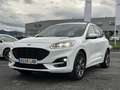 Ford Kuga 1.5 EcoBlue ST-Line FWD 120 Blanco - thumbnail 1