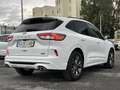 Ford Kuga 1.5 EcoBlue ST-Line FWD 120 Blanco - thumbnail 6