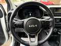 Kia Picanto Edition 7 1. Hand Weiß - thumbnail 11