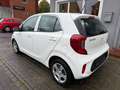 Kia Picanto Edition 7 1. Hand Weiß - thumbnail 7