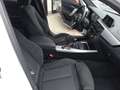 BMW 120 M SPORT FULL LED 18" NAVYSENS PARK PRONTA CONSEGNA Wit - thumbnail 9