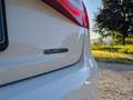 Audi A4 A4 Avant 2.0 tdi SLine quattro 177cv s-tronic Bianco - thumbnail 5