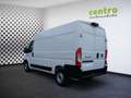 Fiat Ducato KW L2H2 140 Maxi 10"Touch, Schwingsitz, AHK Weiß - thumbnail 3