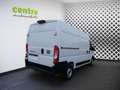 Fiat Ducato KW L2H2 140 Maxi 10"Touch, Schwingsitz, AHK Weiß - thumbnail 6
