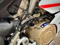 Ducati Panigale V4 S Corse * Neuwertig aus 1 Hand - thumbnail 6