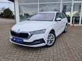 Skoda Octavia Combi 2.0 TDI Style DSG LED AHK NAVI SHZ PDC Weiß - thumbnail 2