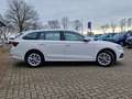 Skoda Octavia Combi 2.0 TDI Style DSG LED AHK NAVI SHZ PDC Weiß - thumbnail 7