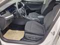 Skoda Octavia Combi 2.0 TDI Style DSG LED AHK NAVI SHZ PDC Weiß - thumbnail 10