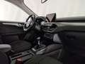 Ford Kuga 1.5 ecoblue Titanium 2wd 120cv Marrone - thumbnail 7