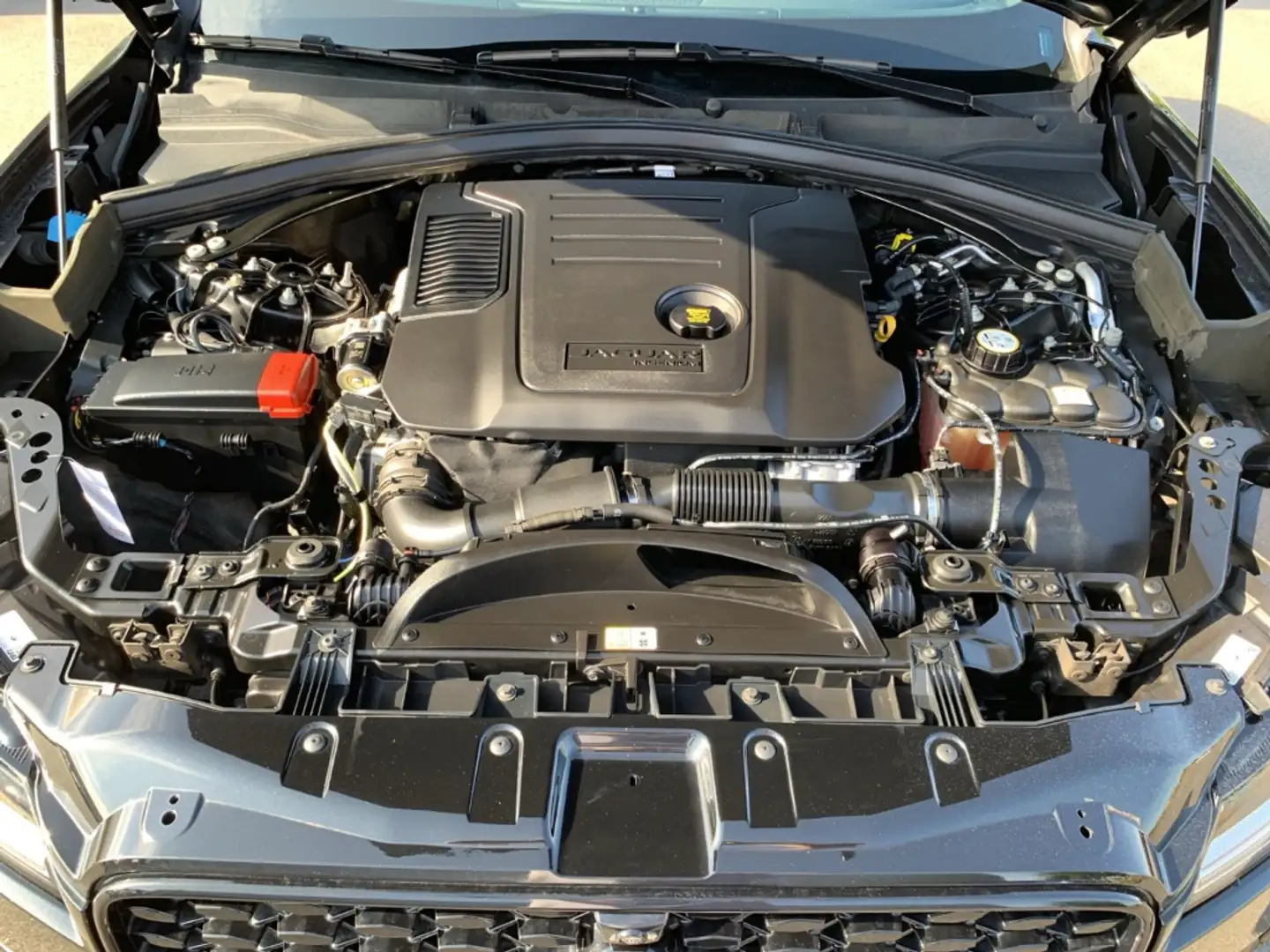 Car Image 25