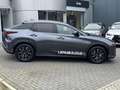 Lexus RZ 350e Luxury Line 77 kWh STOELVERW EL-ACHTERKLEP EL Gris - thumbnail 2