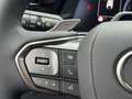 Lexus RZ 350e Luxury Line 77 kWh STOELVERW EL-ACHTERKLEP EL Gris - thumbnail 18
