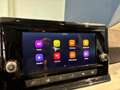 SEAT Ibiza Reference Edition 1.0 80PS Grau - thumbnail 11