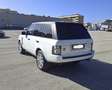 Land Rover Range Rover Vogue HSE 4.4 V8 Diesel Bianco - thumbnail 6