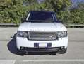 Land Rover Range Rover Vogue HSE 4.4 V8 Diesel Bianco - thumbnail 9