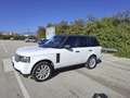 Land Rover Range Rover Vogue HSE 4.4 V8 Diesel Bianco - thumbnail 5