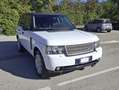 Land Rover Range Rover Vogue HSE 4.4 V8 Diesel Bianco - thumbnail 4