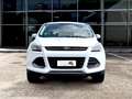 Ford Kuga 2.0 tdci Titanium 2wd 140cv Blanco - thumbnail 2
