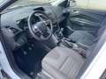 Ford Kuga 2.0 tdci Titanium 2wd 140cv Blanco - thumbnail 11