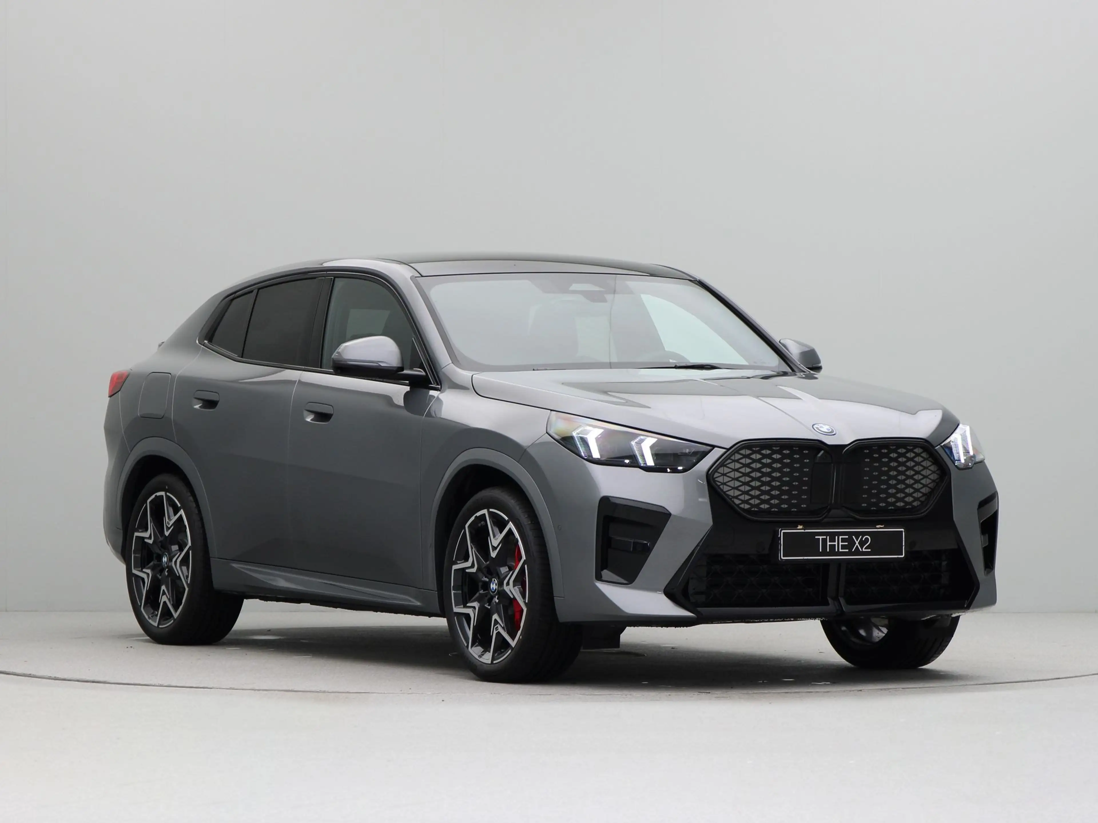 BMW iX2 xDrive30 67 kWh — photo 6