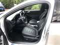 Ford Focus Turnier 1.0 Aut. ST-LINE X Leder Matrix AHK Plateado - thumbnail 11
