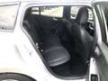 Ford Focus Turnier 1.0 Aut. ST-LINE X Leder Matrix AHK Plateado - thumbnail 13