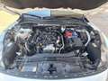 Ford Kuga 1.5 ecoblue Titanium Business 120cv/TAGLIANDATA Blanco - thumbnail 14