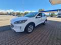 Ford Kuga 1.5 ecoblue Titanium Business 120cv/TAGLIANDATA Blanco - thumbnail 5