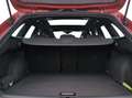CUPRA Leon Sportstourer 2.0 TSI DSG 4Drive VZ DCC PANO*VIR... Rojo - thumbnail 9