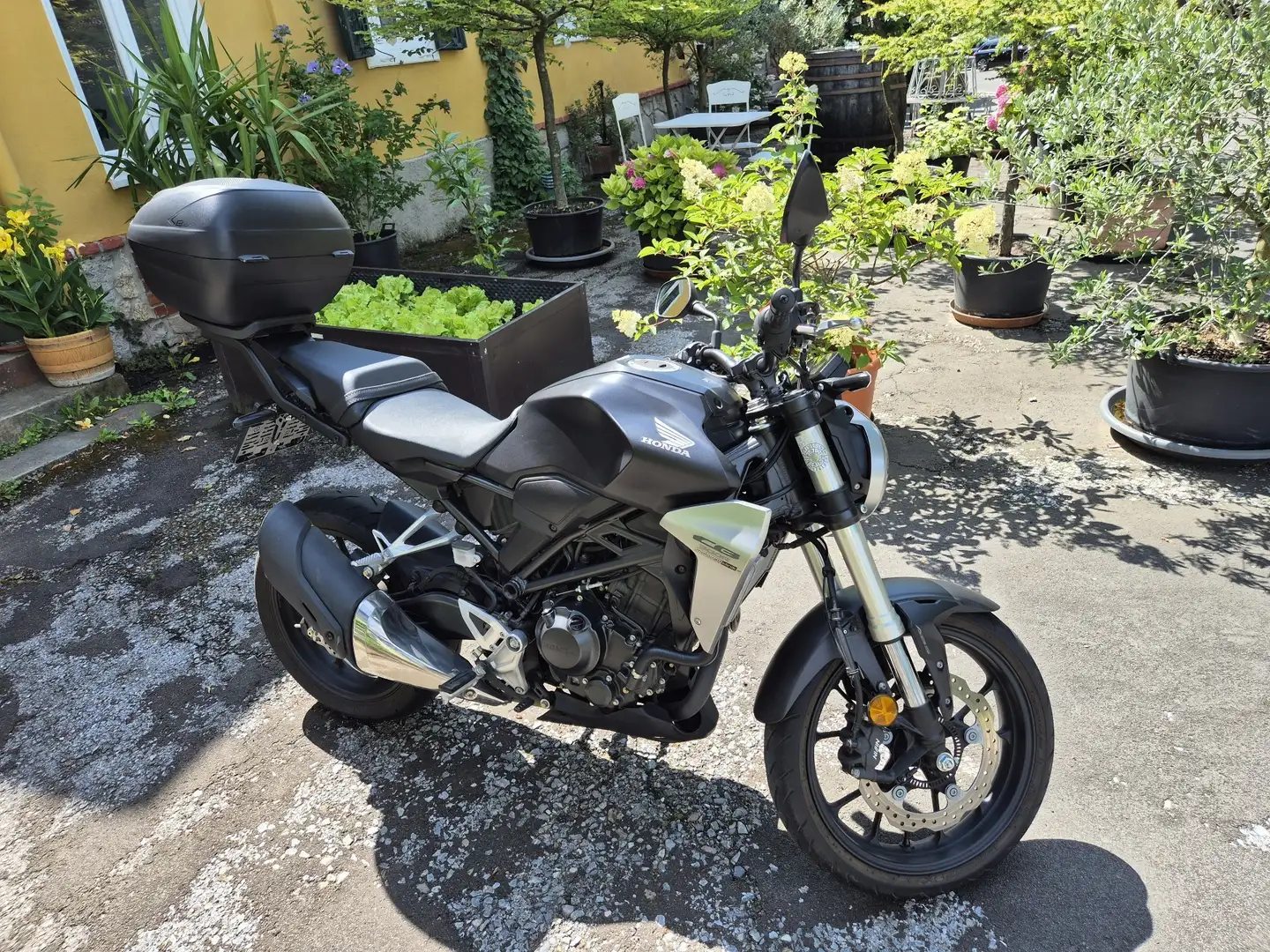 Honda CB 300 Noir - 2