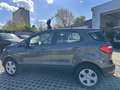 Ford EcoSport 1,0 EcoBoost Cool & Connect Grau - thumbnail 6