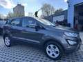 Ford EcoSport 1,0 EcoBoost Cool & Connect Grau - thumbnail 4