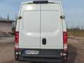 Iveco Daily 35 S 14A8 V L Weiß - thumbnail 5