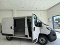 Fiat Ducato Ducato 28 2.3 MJT 120CV PC-TN Furgone Blanc - thumbnail 7