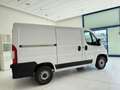 Fiat Ducato Ducato 28 2.3 MJT 120CV PC-TN Furgone Blanc - thumbnail 5