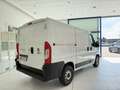 Fiat Ducato Ducato 28 2.3 MJT 120CV PC-TN Furgone Blanc - thumbnail 6