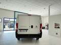 Fiat Ducato Ducato 28 2.3 MJT 120CV PC-TN Furgone Blanc - thumbnail 8