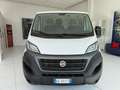 Fiat Ducato Ducato 28 2.3 MJT 120CV PC-TN Furgone Blanc - thumbnail 2