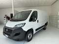 Fiat Ducato Ducato 28 2.3 MJT 120CV PC-TN Furgone Blanc - thumbnail 3
