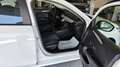 Opel Corsa Corsa VI 2020 1.5 Edition s Bianco - thumbnail 23