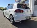 Volkswagen Golf GTI 35  """ Edition 35 """ Weiß - thumbnail 26